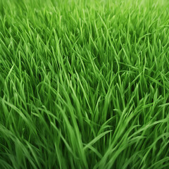 Obraz premium fresh green grass texture background illustration