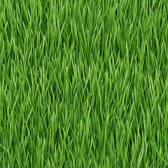 Obraz premium fresh green grass texture background illustration
