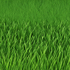 Obraz premium fresh green grass texture background illustration