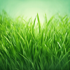 Fototapeta premium fresh green grass texture background illustration
