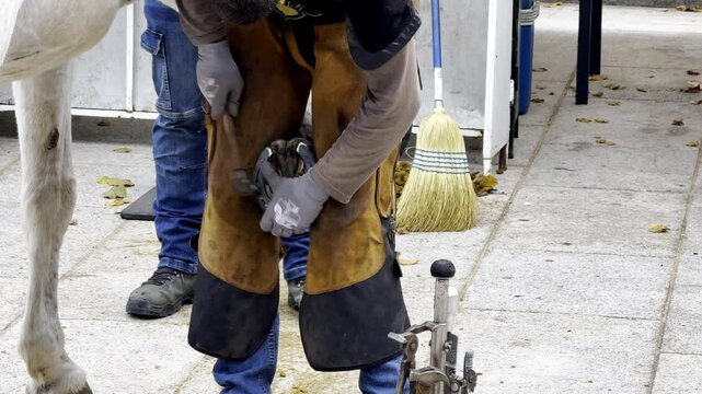 Farrier shoeing a horse outdoors using traditional tools