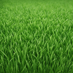 Obraz premium fresh green grass texture background illustration
