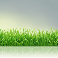 Fototapeta premium fresh green grass texture background illustration