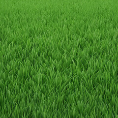 Obraz premium fresh green grass texture background illustration