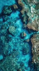 Fototapeta premium Aerial Serenity: Turquoise Waters and Light Play Around an Island 