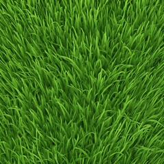 Fototapeta premium fresh green grass texture background illustration
