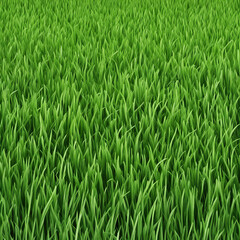 Obraz premium fresh green grass texture background illustration