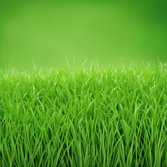 Fototapeta premium fresh green grass texture background illustration
