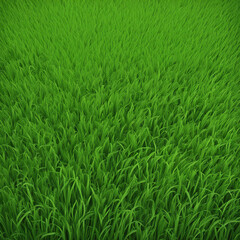 Obraz premium fresh green grass texture background illustration