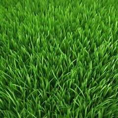 fresh green grass texture background illustration