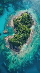 Aerial Paradise: Transparent Turquoise Waters and Lush Island Greenery 
