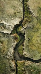 Aerial Tranquility: Vast Peat Meadow Nature Reserve with Meandering Ditches