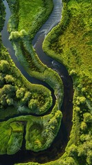 Aerial Harmony: Meandering Ditches in a Tranquil Peat Meadow Nature Reserve 
