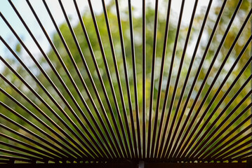 Rusty iron bars, sun and freedom behind them