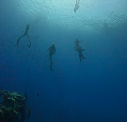 free diver underwater
