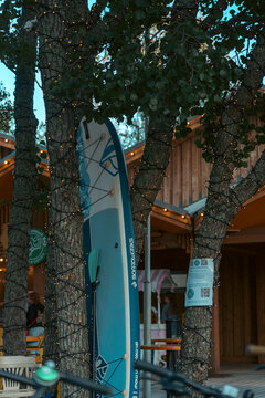 Surfboard leaning against tree at cozy outdoor cafe in evening light