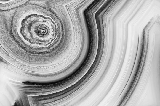 Black-and-White Close-Up of Brazilian Agate with Intricate Patterns