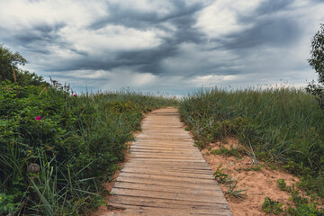 Obraz premium Wooden boardwalk through grassy dunes leading to the beach