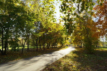 path in the park