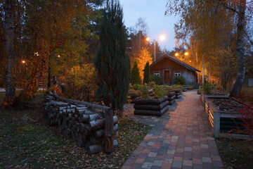 Fototapeta premium autumn in the park
