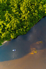 the river in the forest