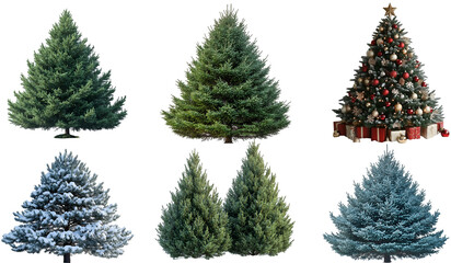 Fototapeta premium Lifelike Christmas Trees Displayed on a Pure White Background