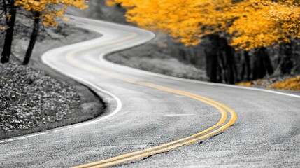   A black & white photo of a curved road with golden leaves on trees & a road sign
