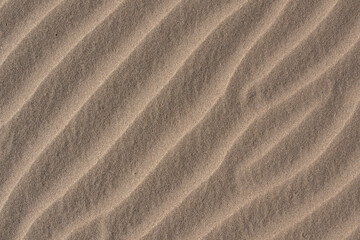 sand ripples background