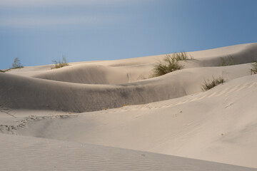 sand dunes in the desert