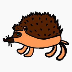 Cute hedgehog, on a white background, childrens vector drawing.JPEG