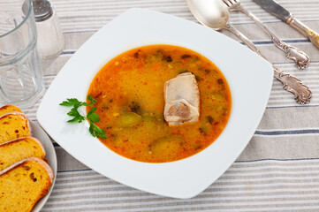 Traditional Russian dish is Pickle soup with meat, cooked on the basis of pickled cucumbers and pearl barley or rice, decorated ..with a sprig of parsley on top