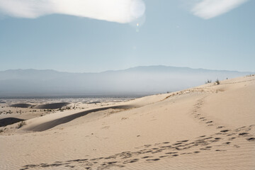footprints on the beach