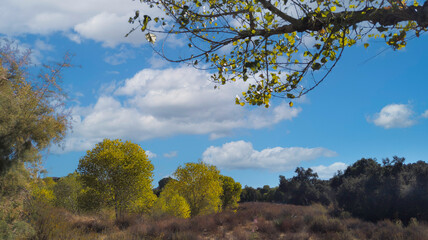 Fototapeta premium Beautiful countryside in rural Lake Elsinore, California in fall