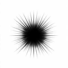 A stark black starburst on a white background, creating a striking contrast and an abstract visual effect.