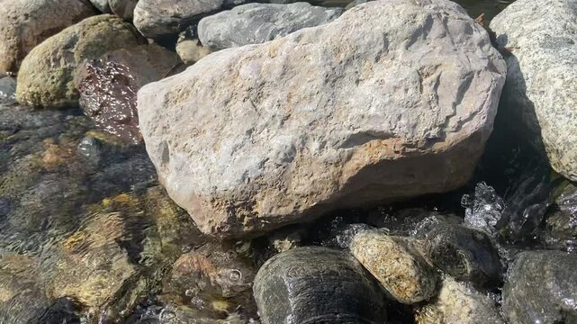 Flux d'eau ruisselant entre des cailloux de rivi&egrave;re, C&eacute;vennes