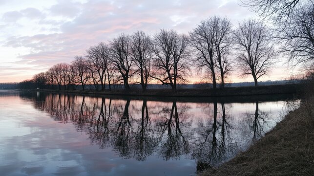 tree silhouettes with perfect reflection in calm water surface on a winters evening with pink clouds. 