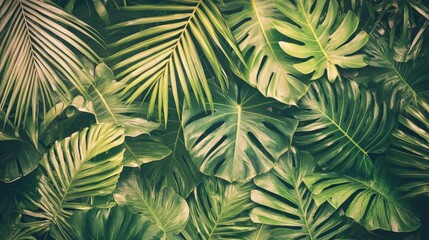 Striped of palm leaf  Abstract green texture background  Vintage tone 