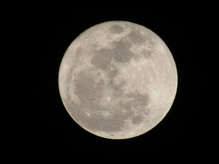 Full moon in the night