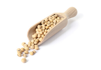 Scoop with soy beans isolated on white