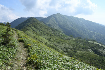 Climbing Mt. Shirasuna, Gunma, Japan