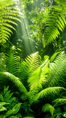 Sunlight beams through lush ferns in a tropical rainforest.