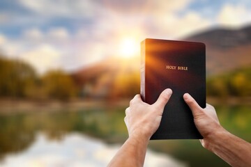 Person reading book at Sunny morning.