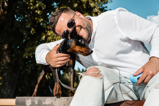 Black and Tan miniature pinscher female dog with owner in a park.A man plays with a pinscher dog.
