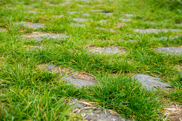 old granite cobblestone roman road goes through germany, classic stone craftsmanship underfoot, traditional medieval path, heritage stonework, antique road