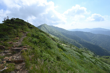 Climbing Mt. Shirasuna, Gunma, Japan