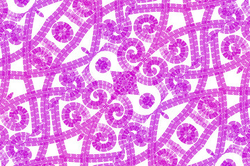 Beautiful gradient flower art batik ethnic dayak borneo pattern background