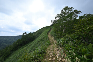 Climbing Mt. Shirasuna, Gunma, Japan