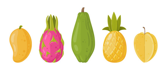 Fresh exotic fruits. Mango, pineapple, papaya and dragon fruit, organic vitamin vegetarian food vector illustration set. Cartoon tropical fruits