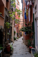 Narrow alley ways in the heart of Vernazza.