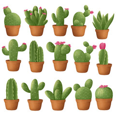 cactus in pots Illustration 